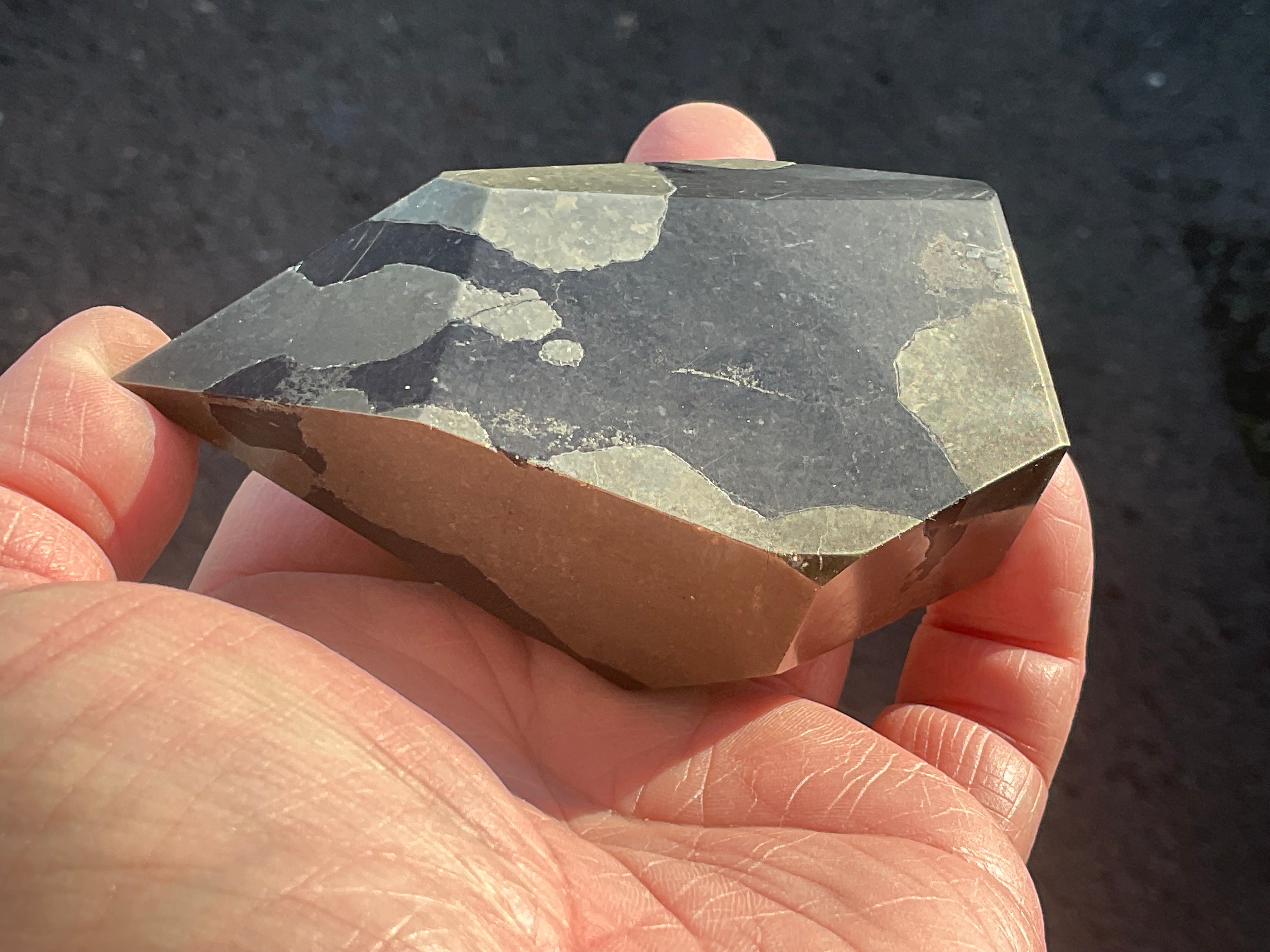353g Pyrite in Shale Freeform C
