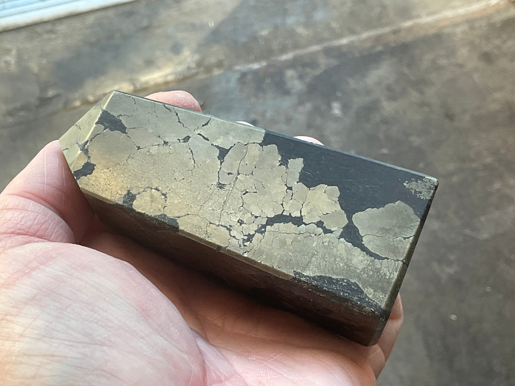 505g Pyrite in Shale Freeform