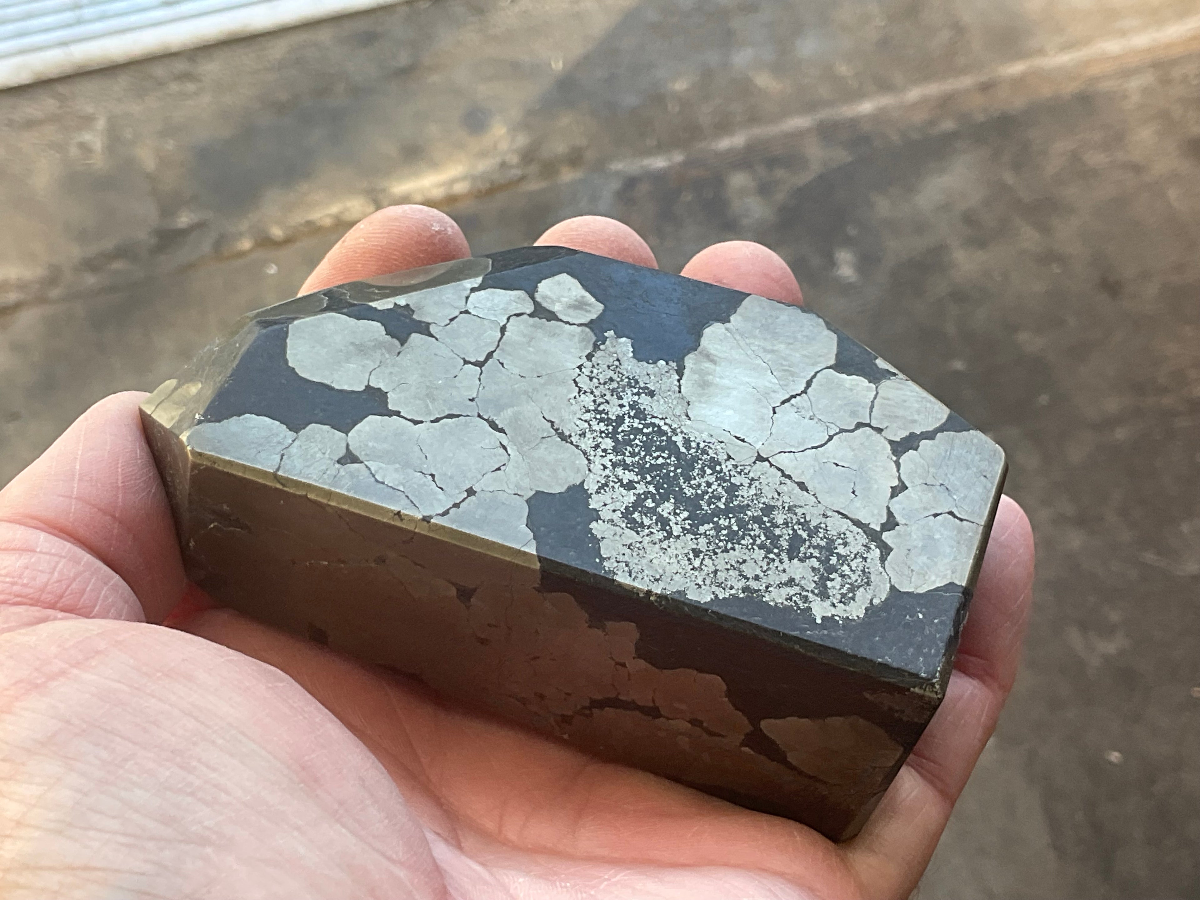 505g Pyrite in Shale Freeform