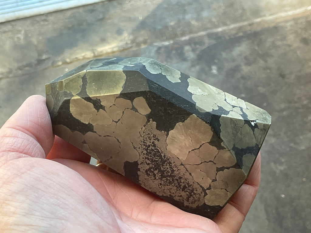 505g Pyrite in Shale Freeform