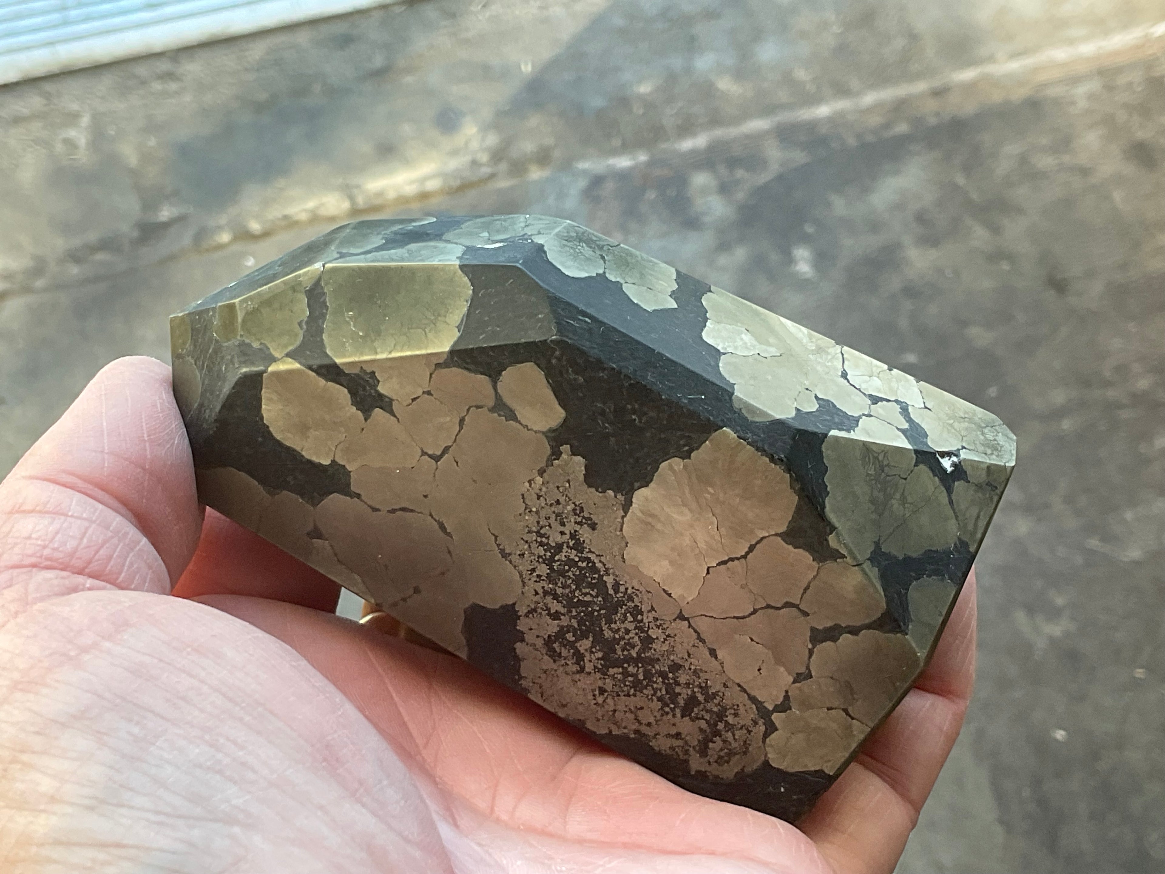 505g Pyrite in Shale Freeform