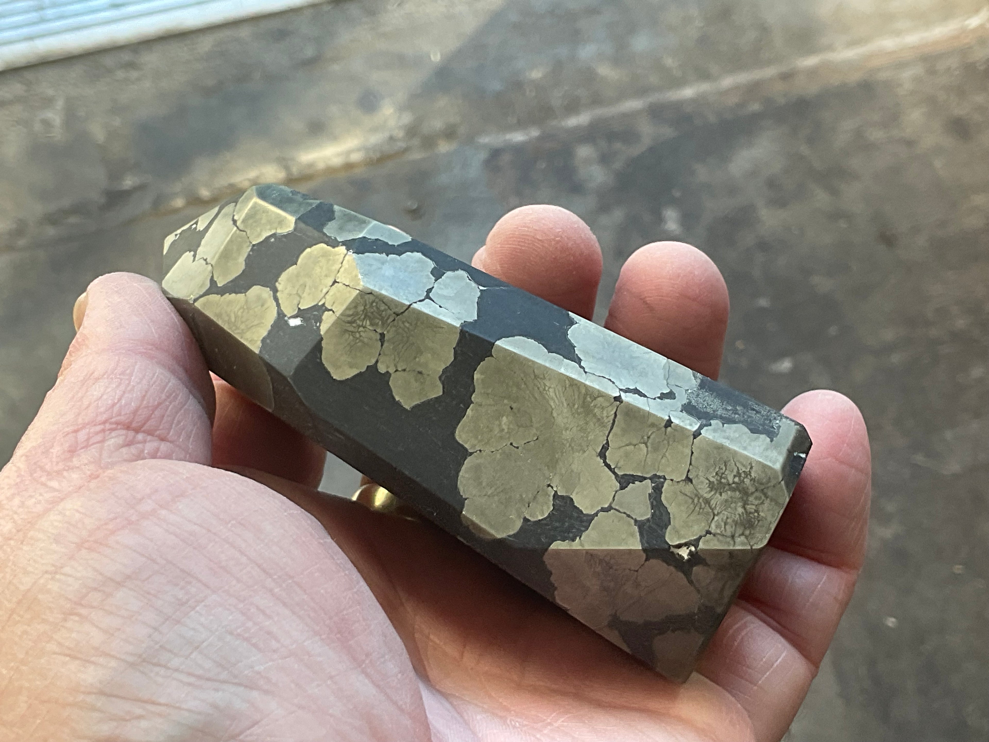 505g Pyrite in Shale Freeform