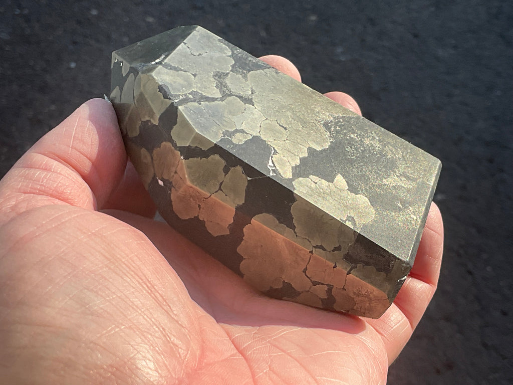 505g Pyrite in Shale Freeform