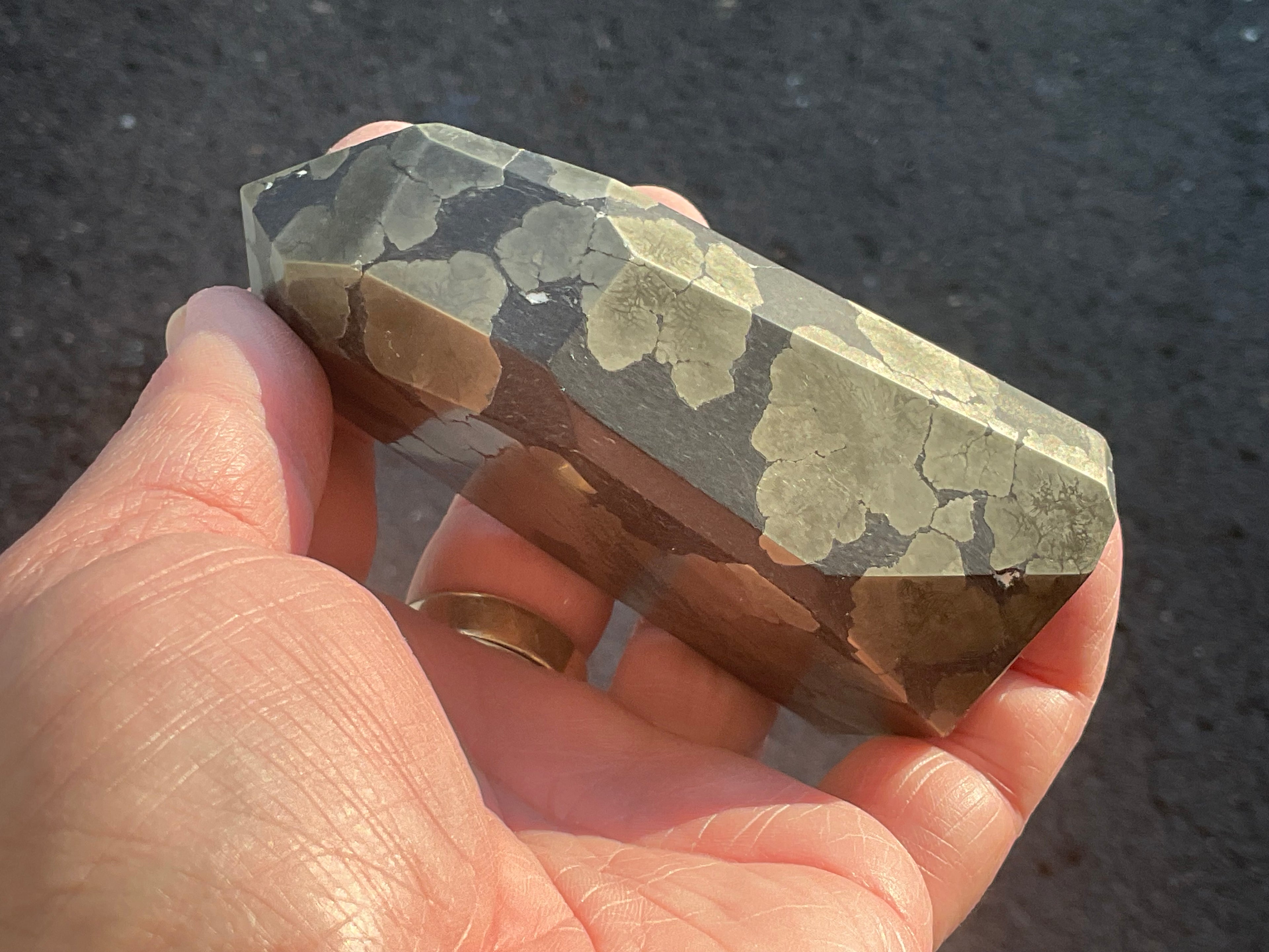 505g Pyrite in Shale Freeform