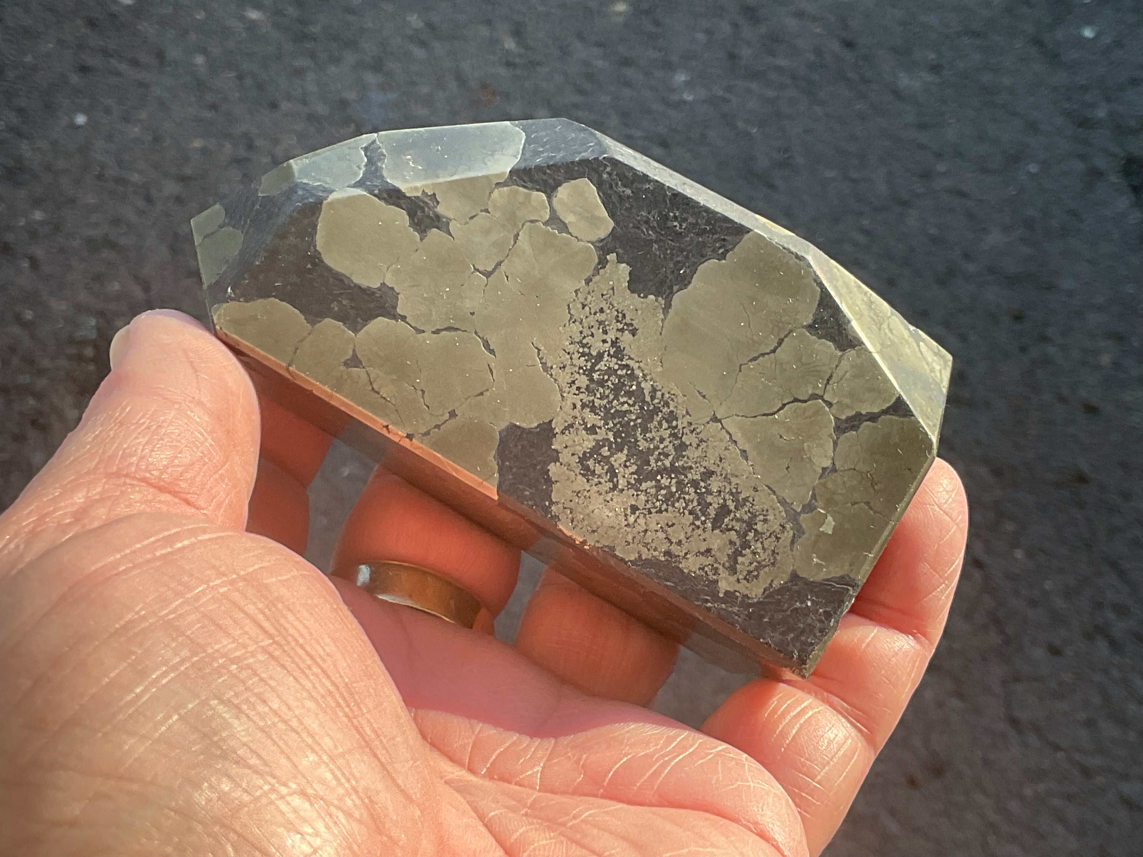 505g Pyrite in Shale Freeform