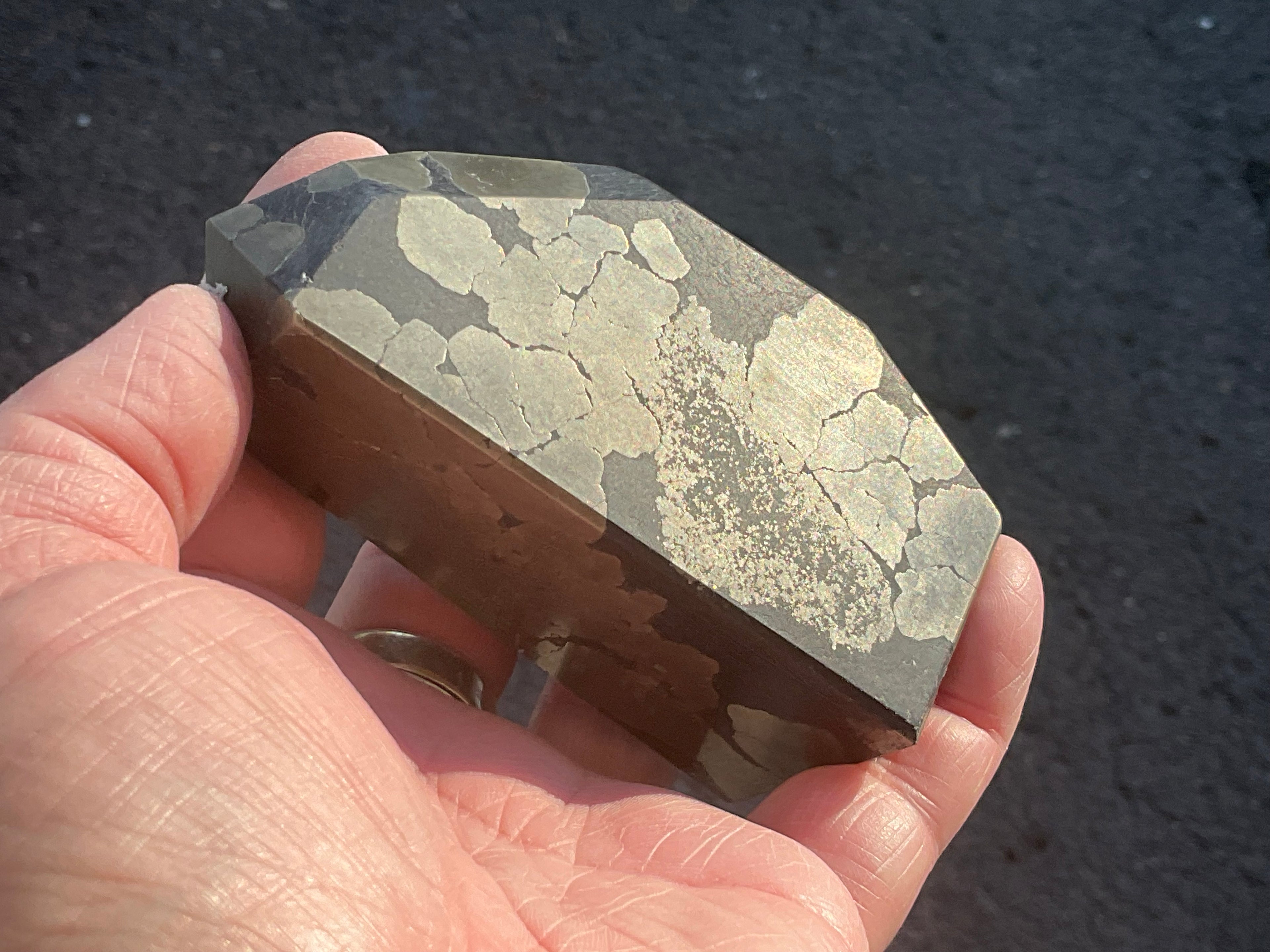 505g Pyrite in Shale Freeform