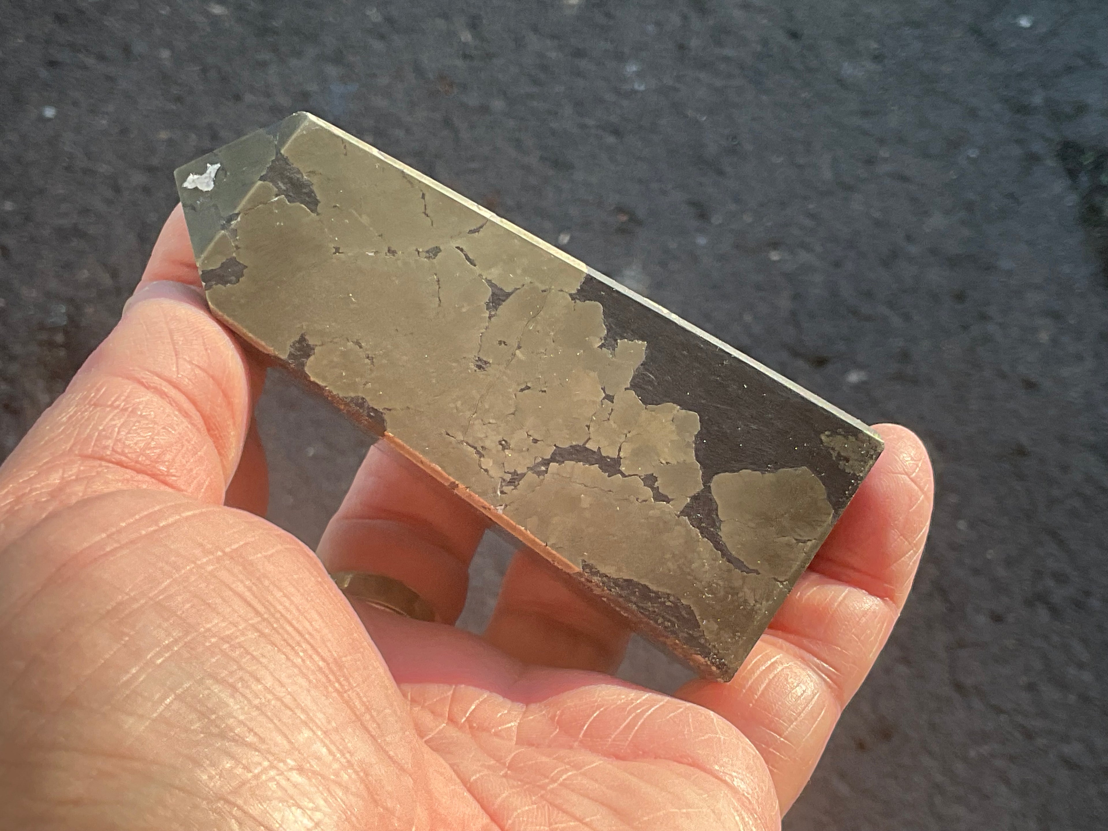505g Pyrite in Shale Freeform