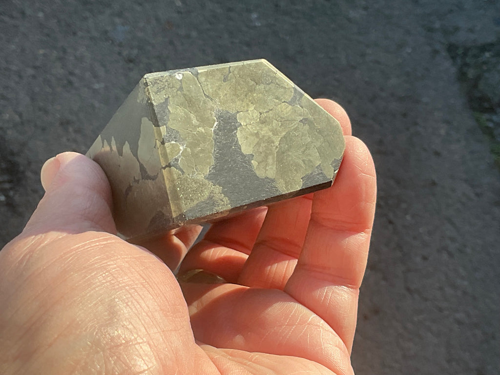 505g Pyrite in Shale Freeform