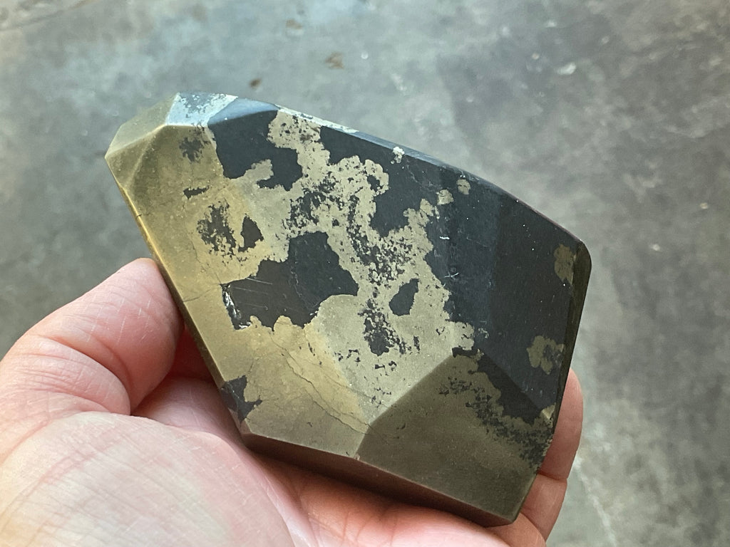 505g Pyrite in Shale E