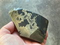 505g Pyrite in Shale E