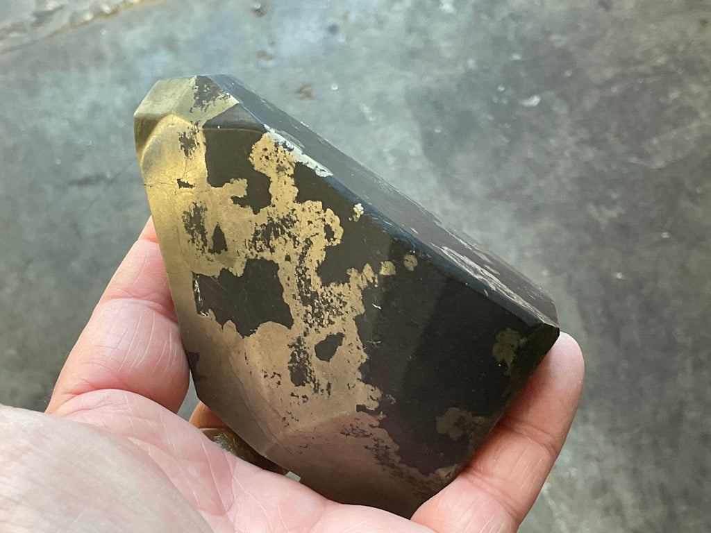505g Pyrite in Shale E