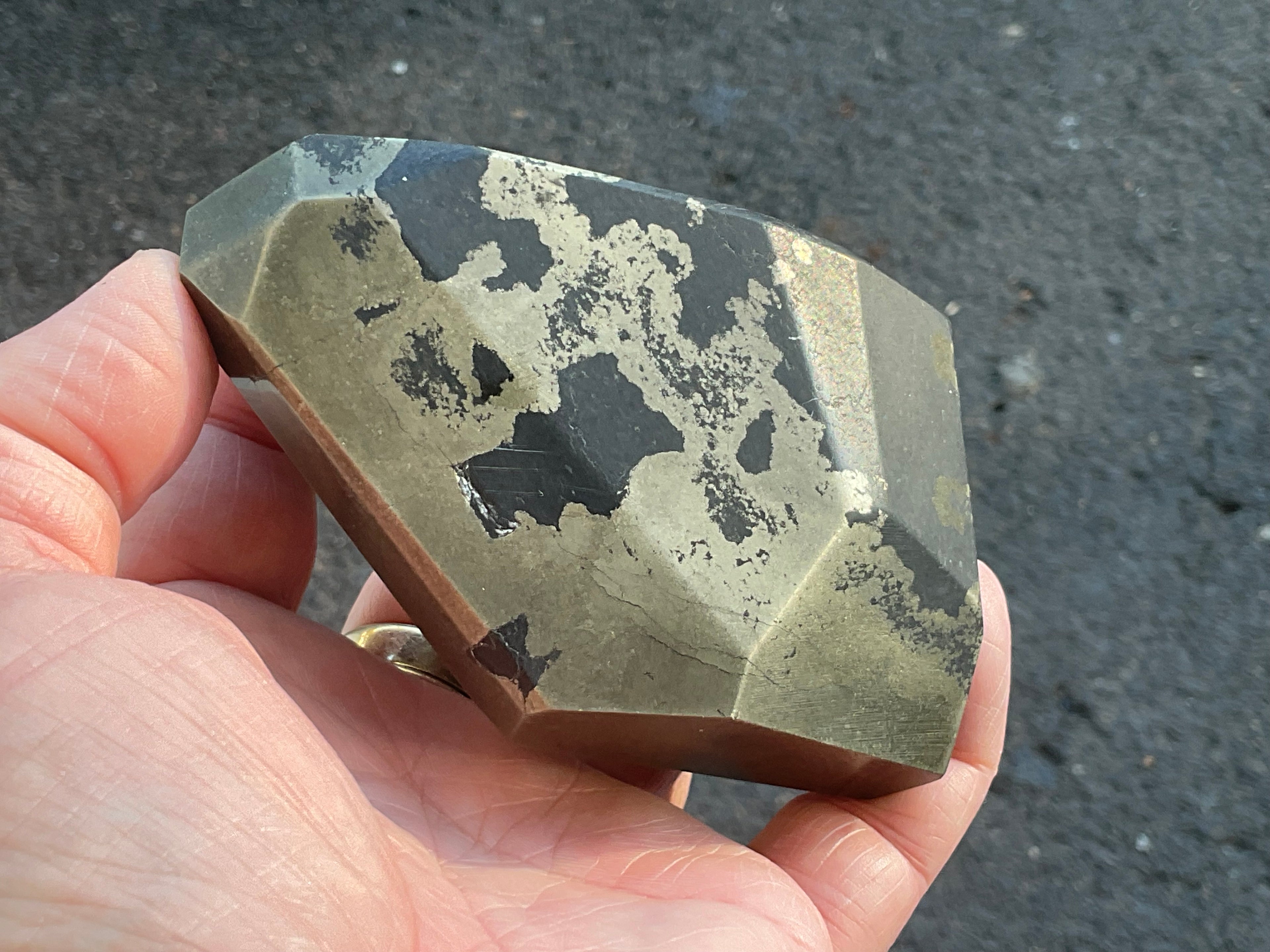 505g Pyrite in Shale E