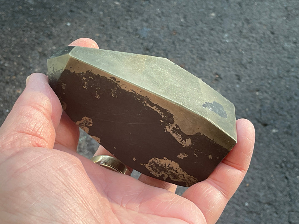 505g Pyrite in Shale E