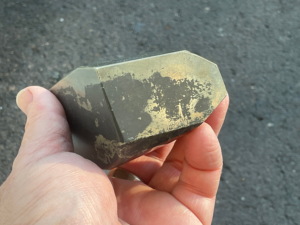 505g Pyrite in Shale E