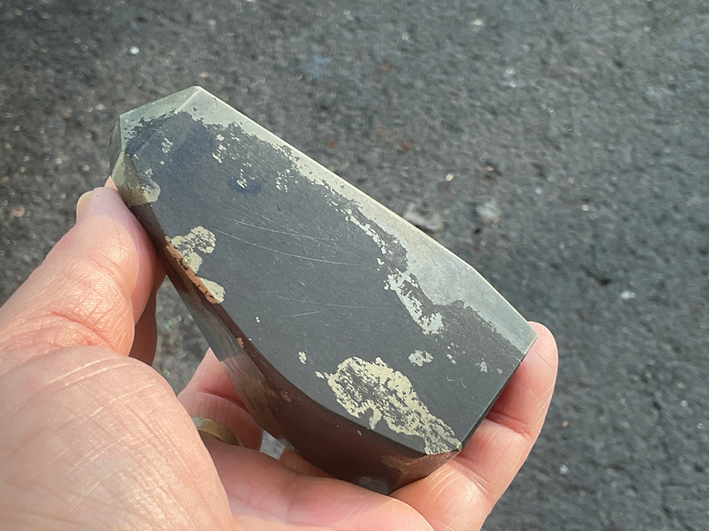 505g Pyrite in Shale E