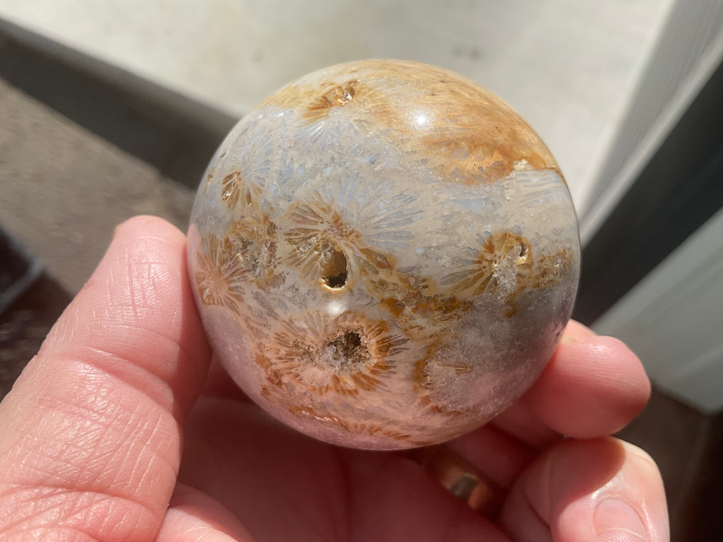 250g “Luna Coral” Sphere 1B