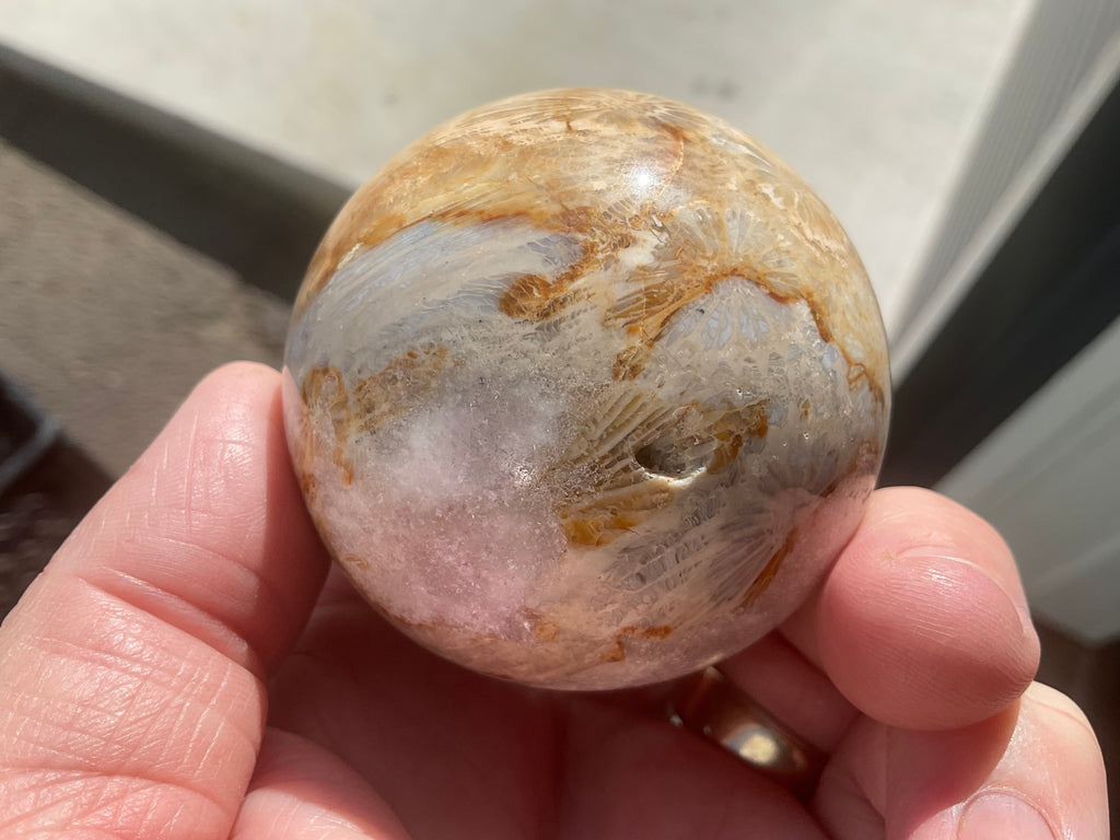 250g “Luna Coral” Sphere 1B