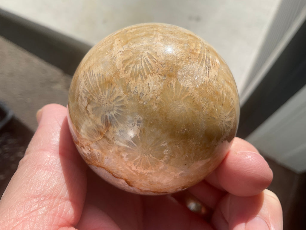 250g “Luna Coral” Sphere 1B