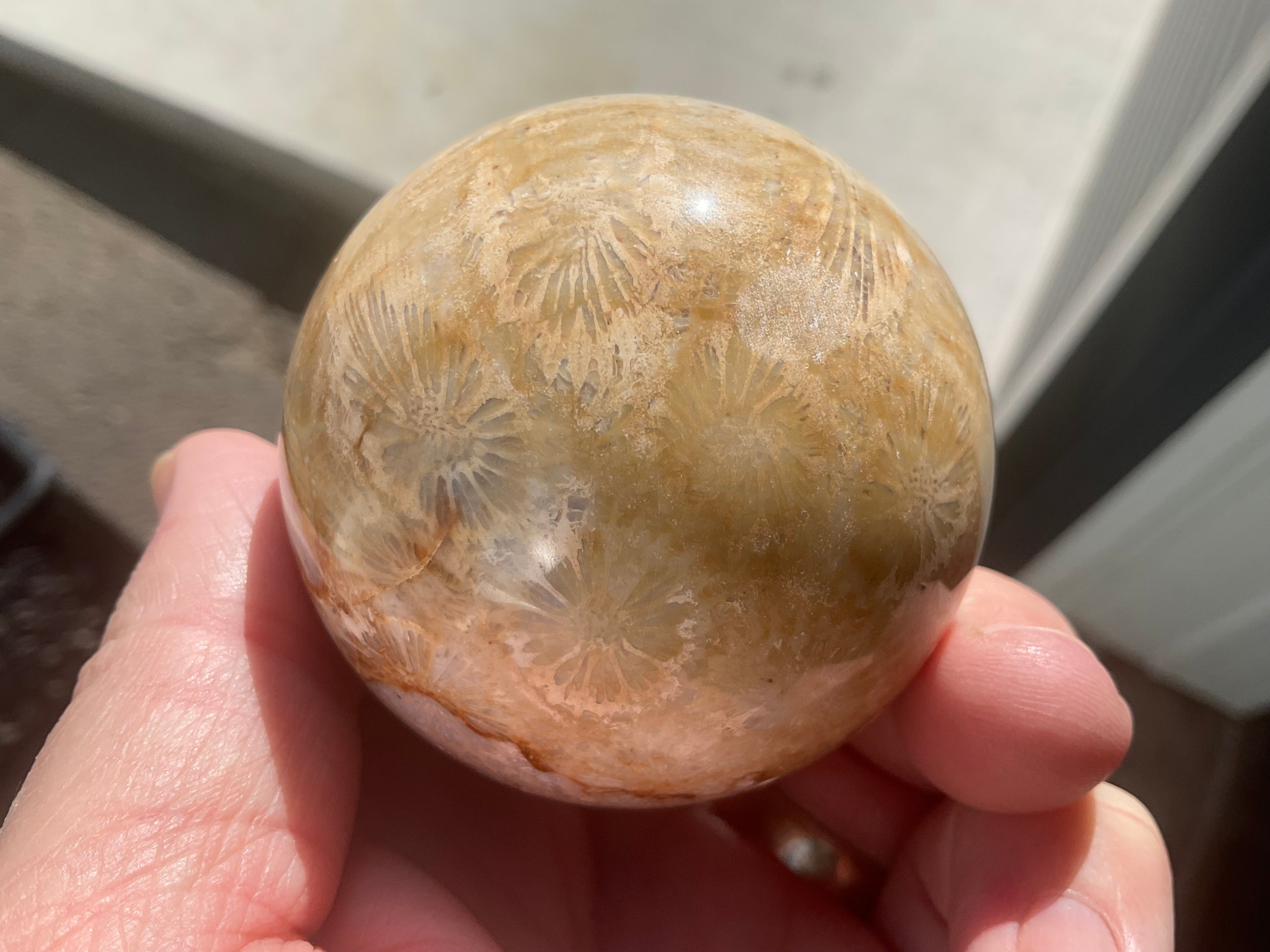 250g “Luna Coral” Sphere 1B