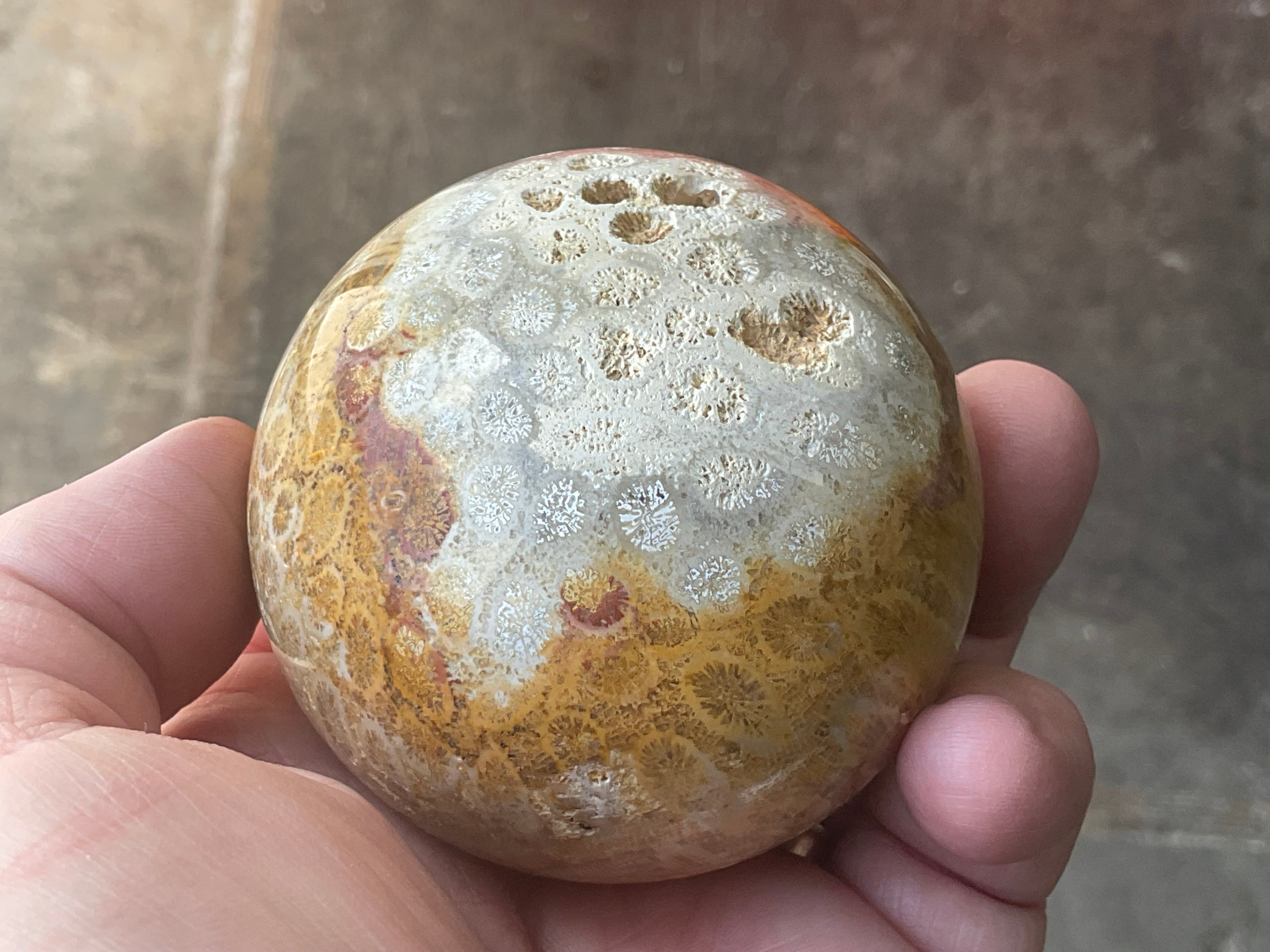 340g “Luna Coral Sphere” 3A