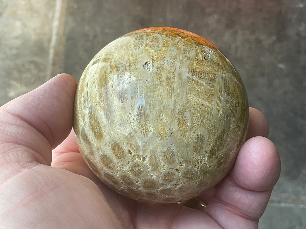 340g “Luna Coral Sphere” 3A