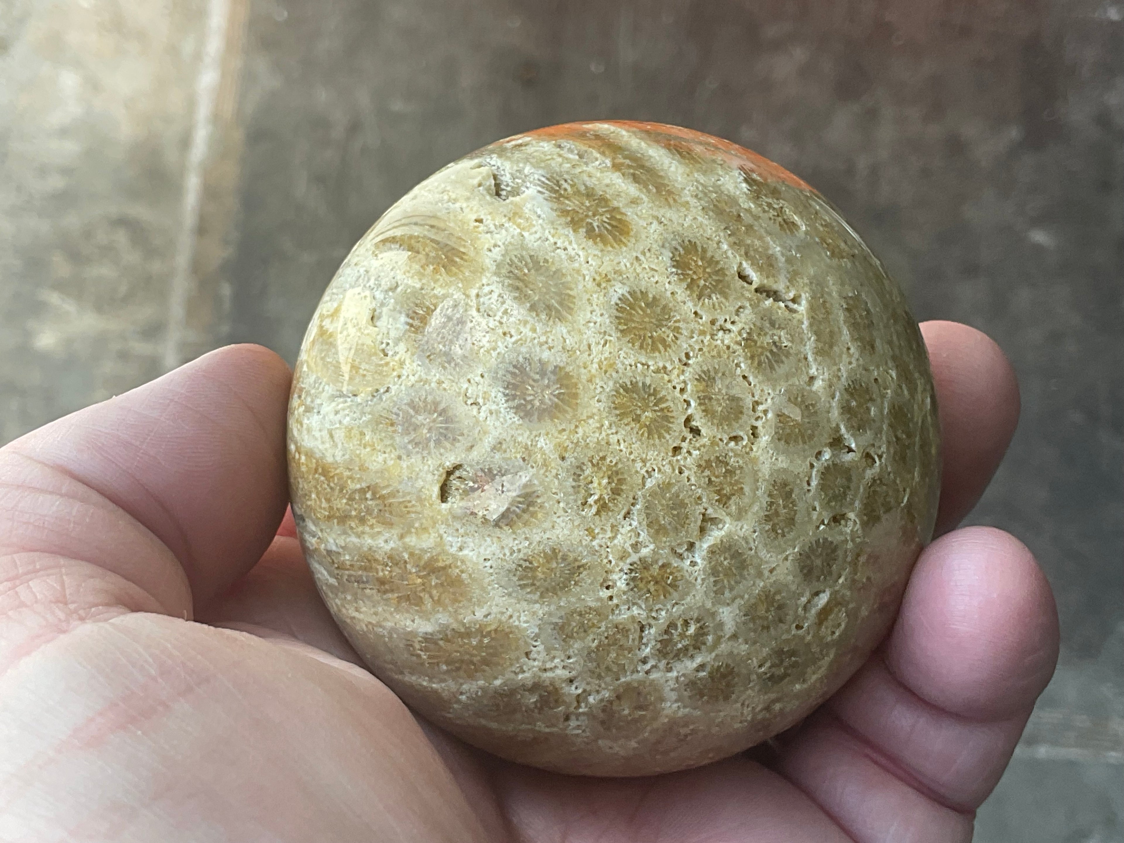 340g “Luna Coral Sphere” 3A