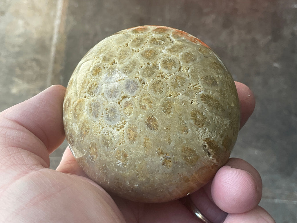 340g “Luna Coral Sphere” 3A
