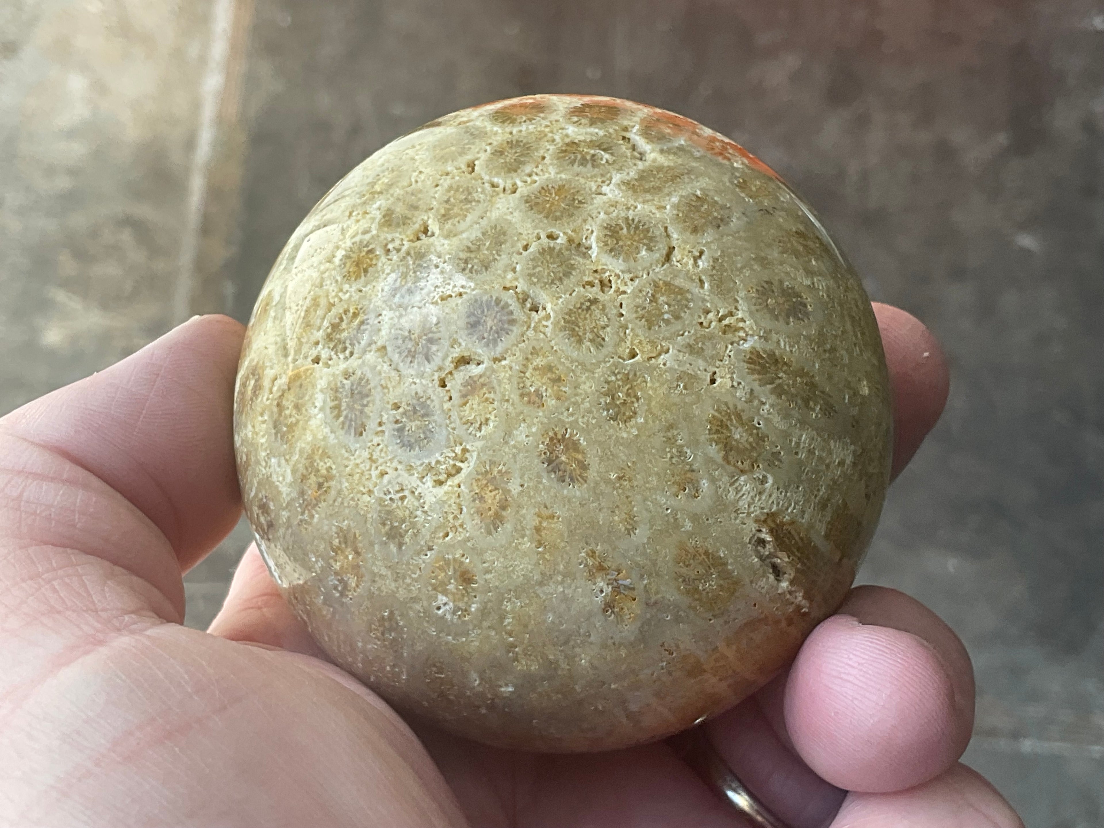 340g “Luna Coral Sphere” 3A