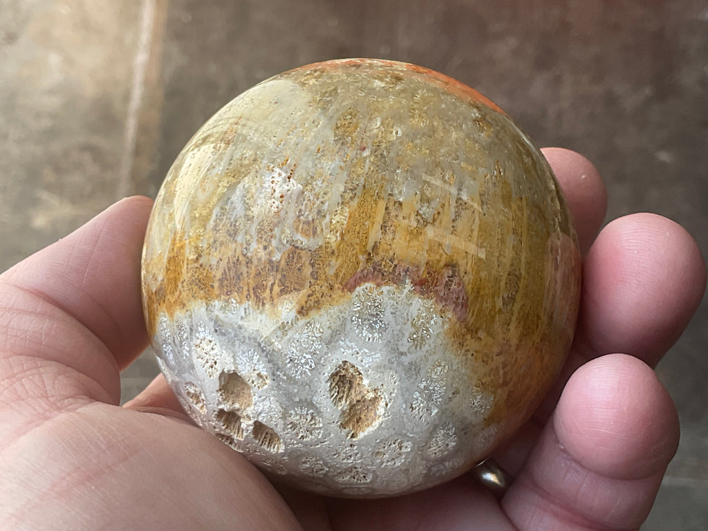 340g “Luna Coral Sphere” 3A