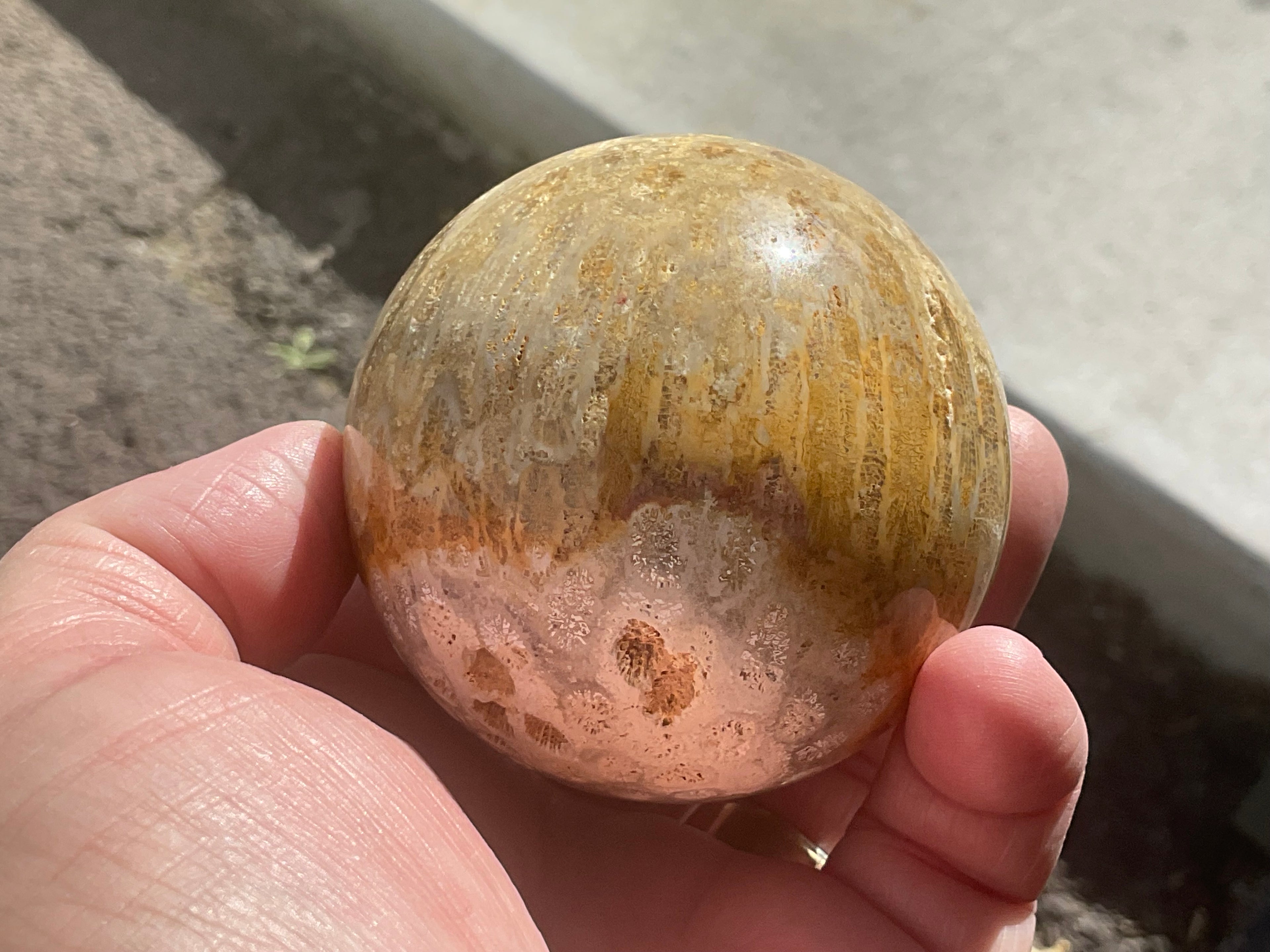 340g “Luna Coral Sphere” 3A
