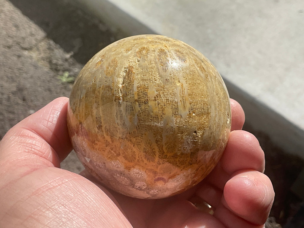 340g “Luna Coral Sphere” 3A