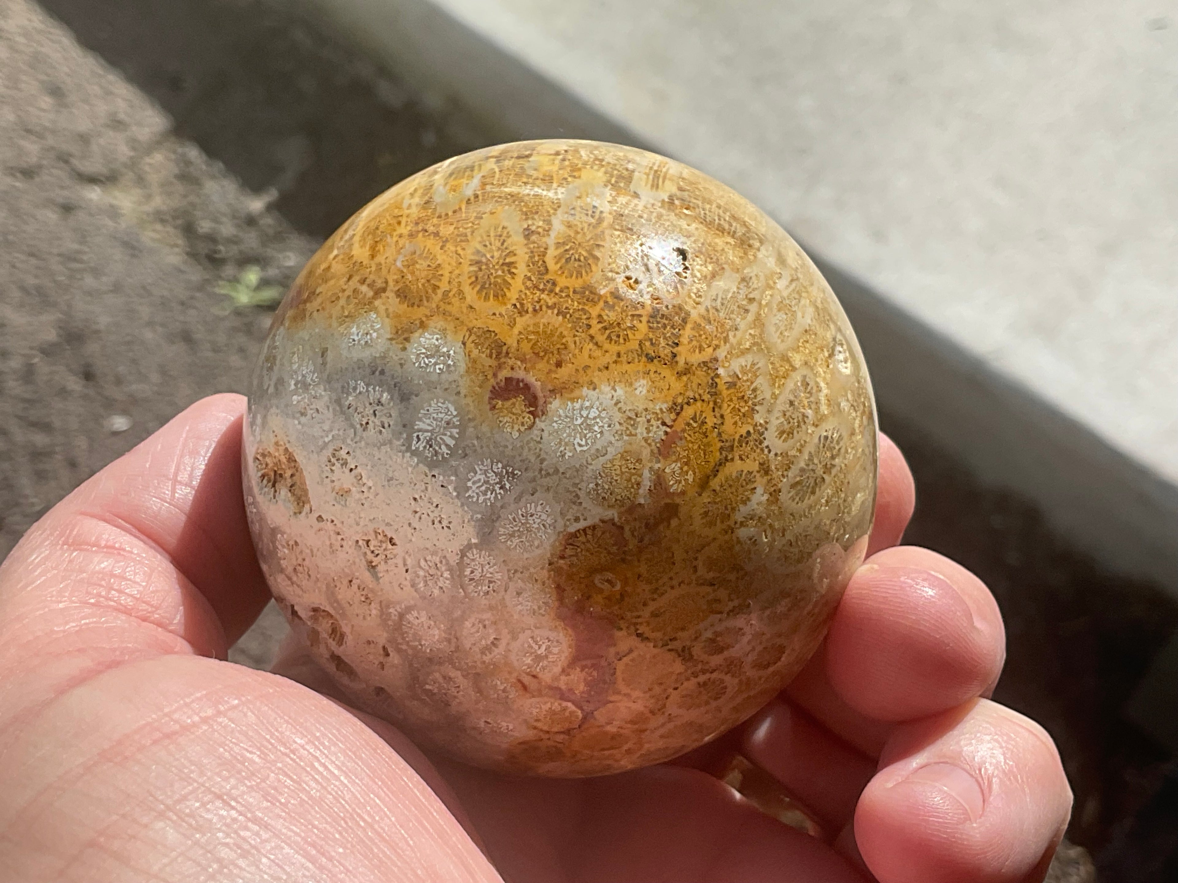 340g “Luna Coral Sphere” 3A