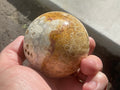 340g “Luna Coral Sphere” 3A