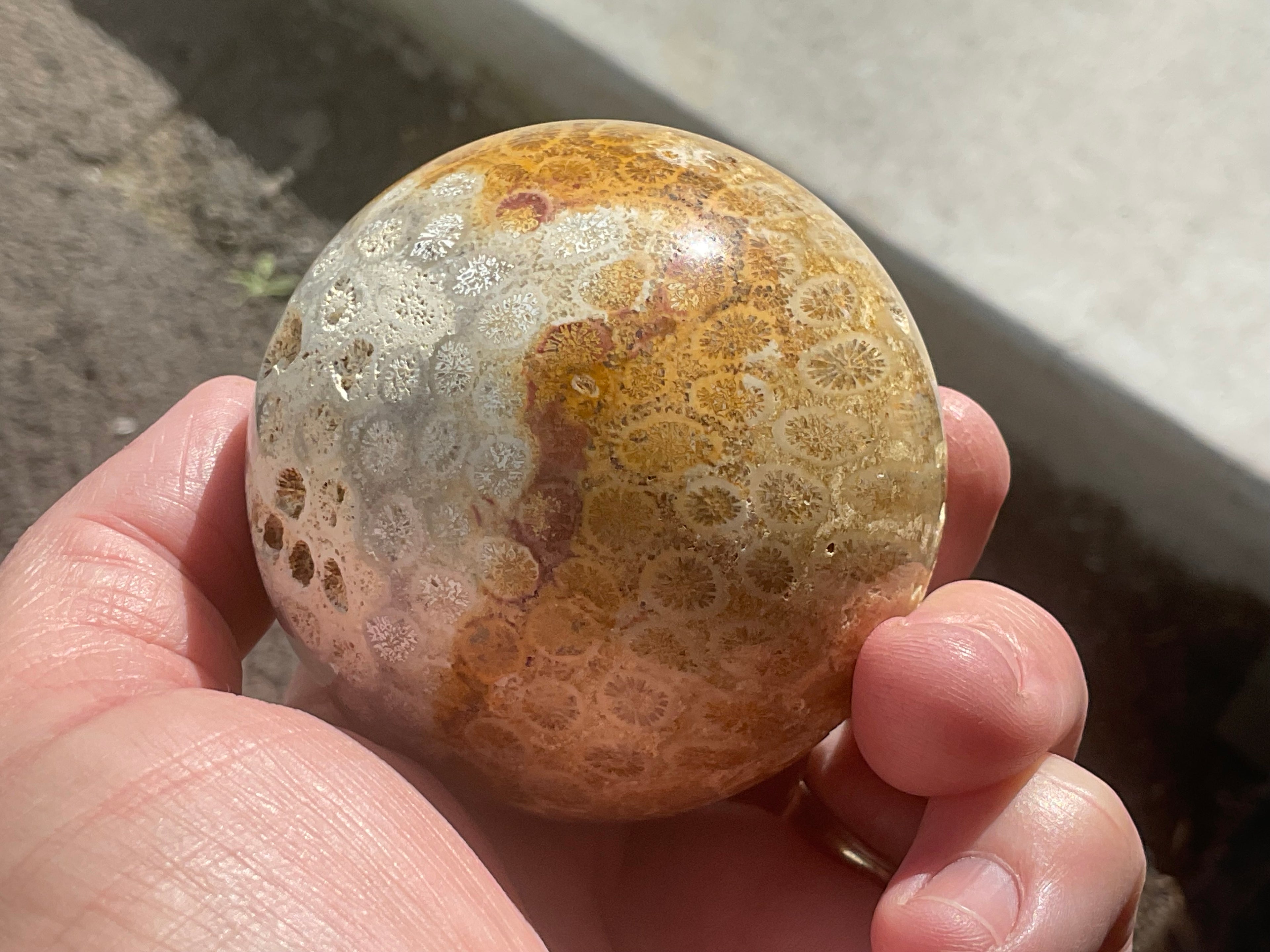340g “Luna Coral Sphere” 3A