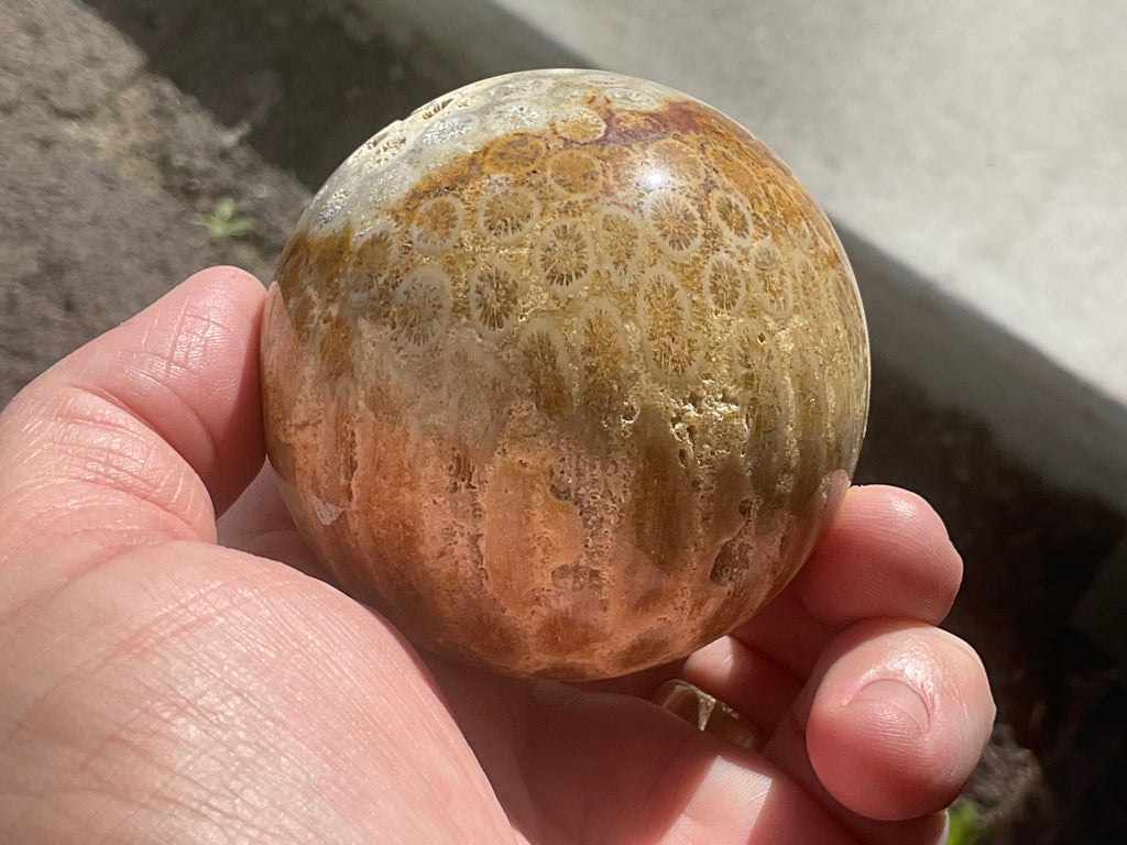 340g “Luna Coral Sphere” 3A