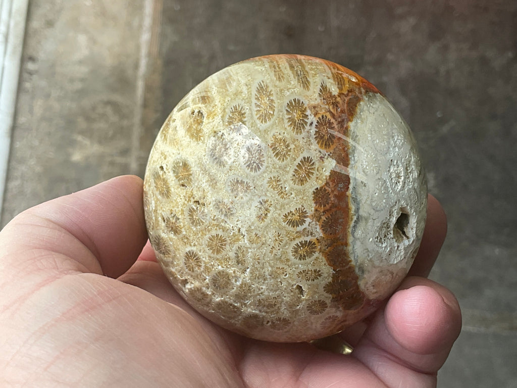 368g “Luna Coral” Sphere 3B