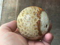 368g “Luna Coral” Sphere 3B