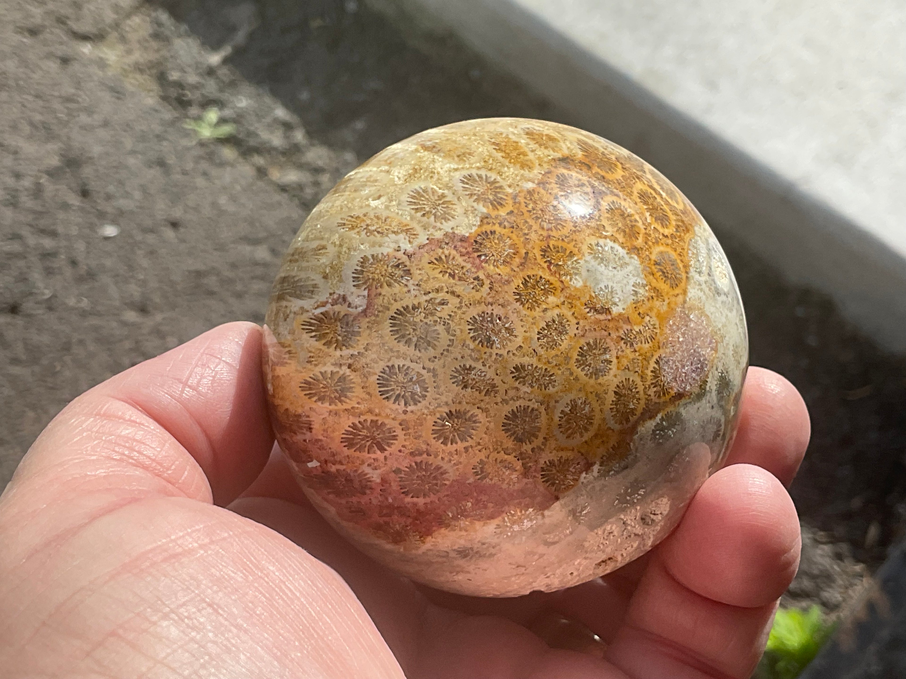 368g “Luna Coral” Sphere 3B