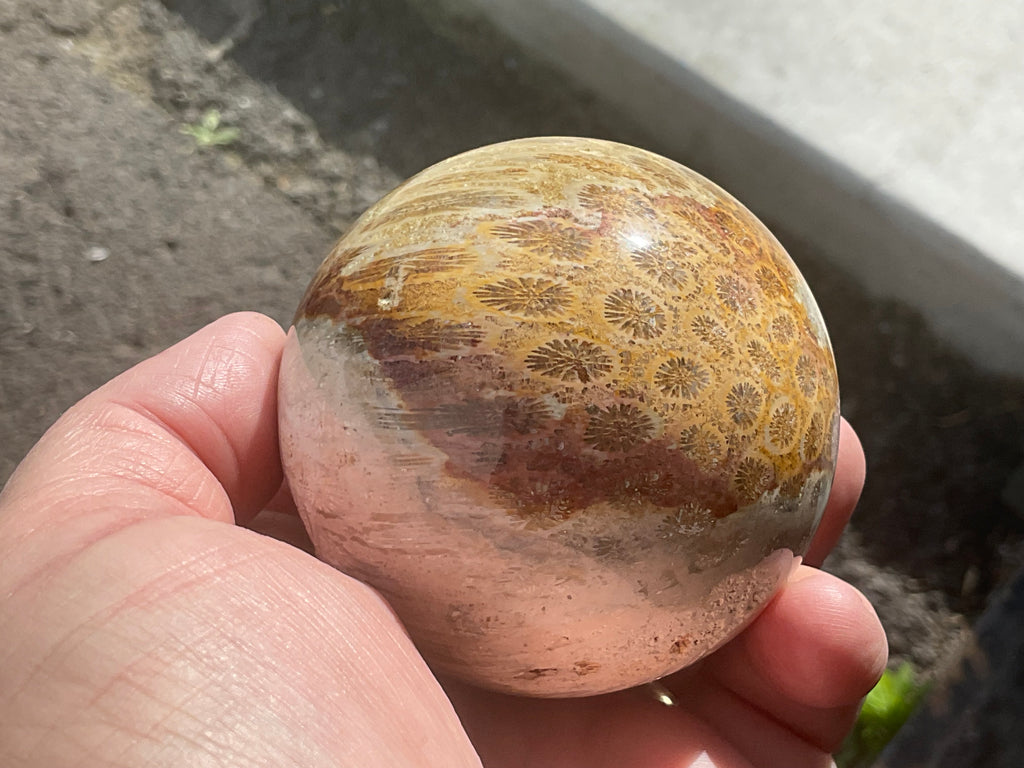 368g “Luna Coral” Sphere 3B