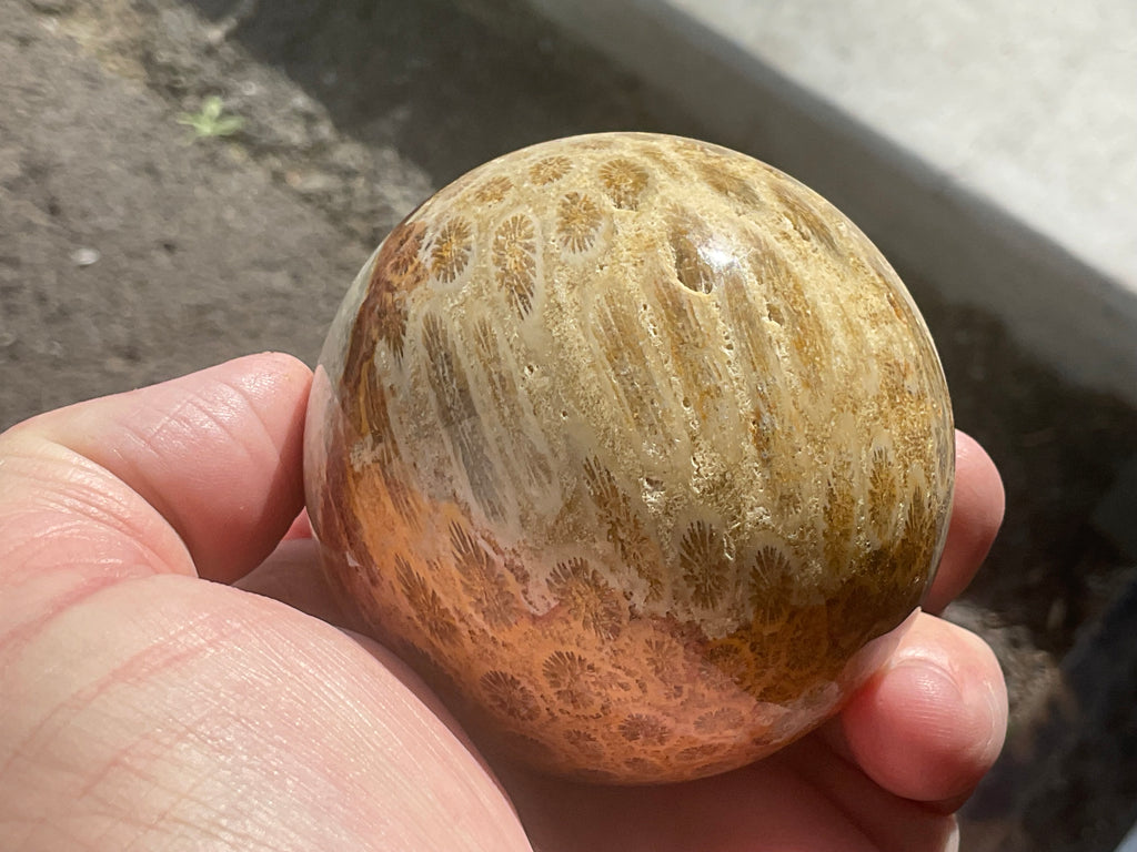 368g “Luna Coral” Sphere 3B