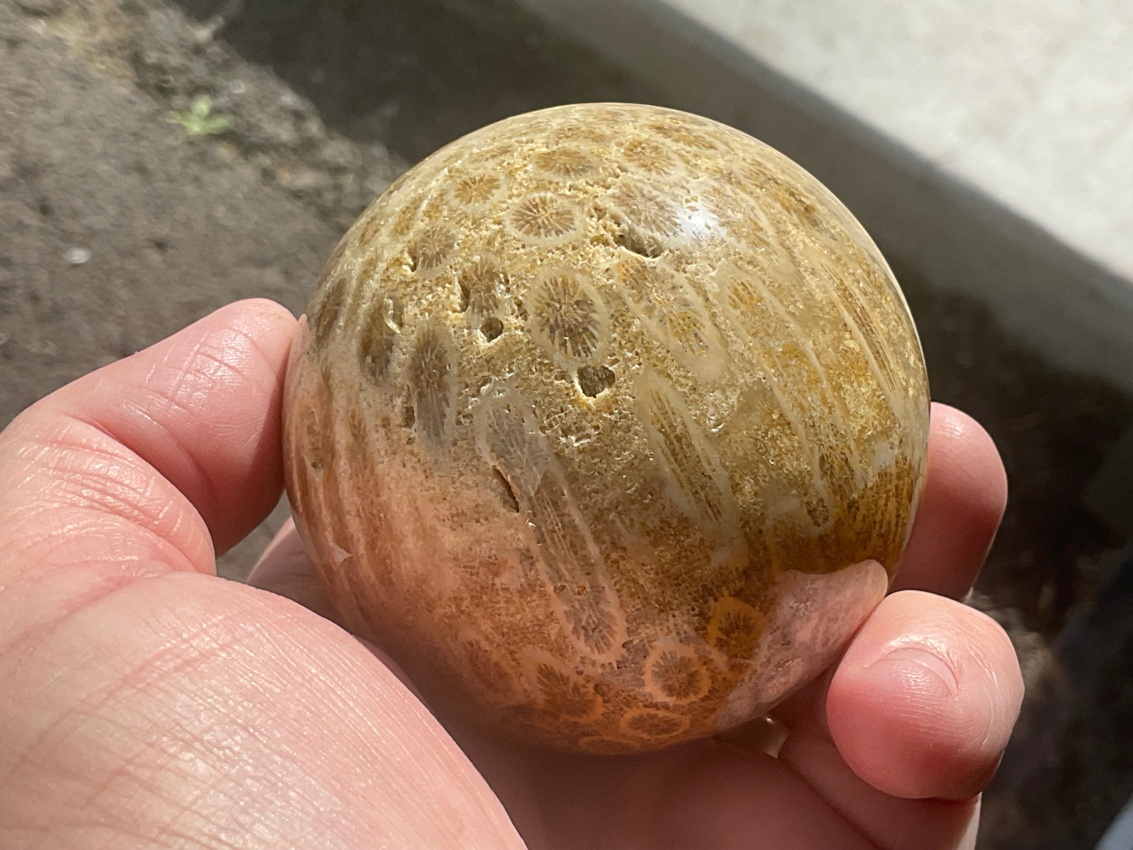 368g “Luna Coral” Sphere 3B