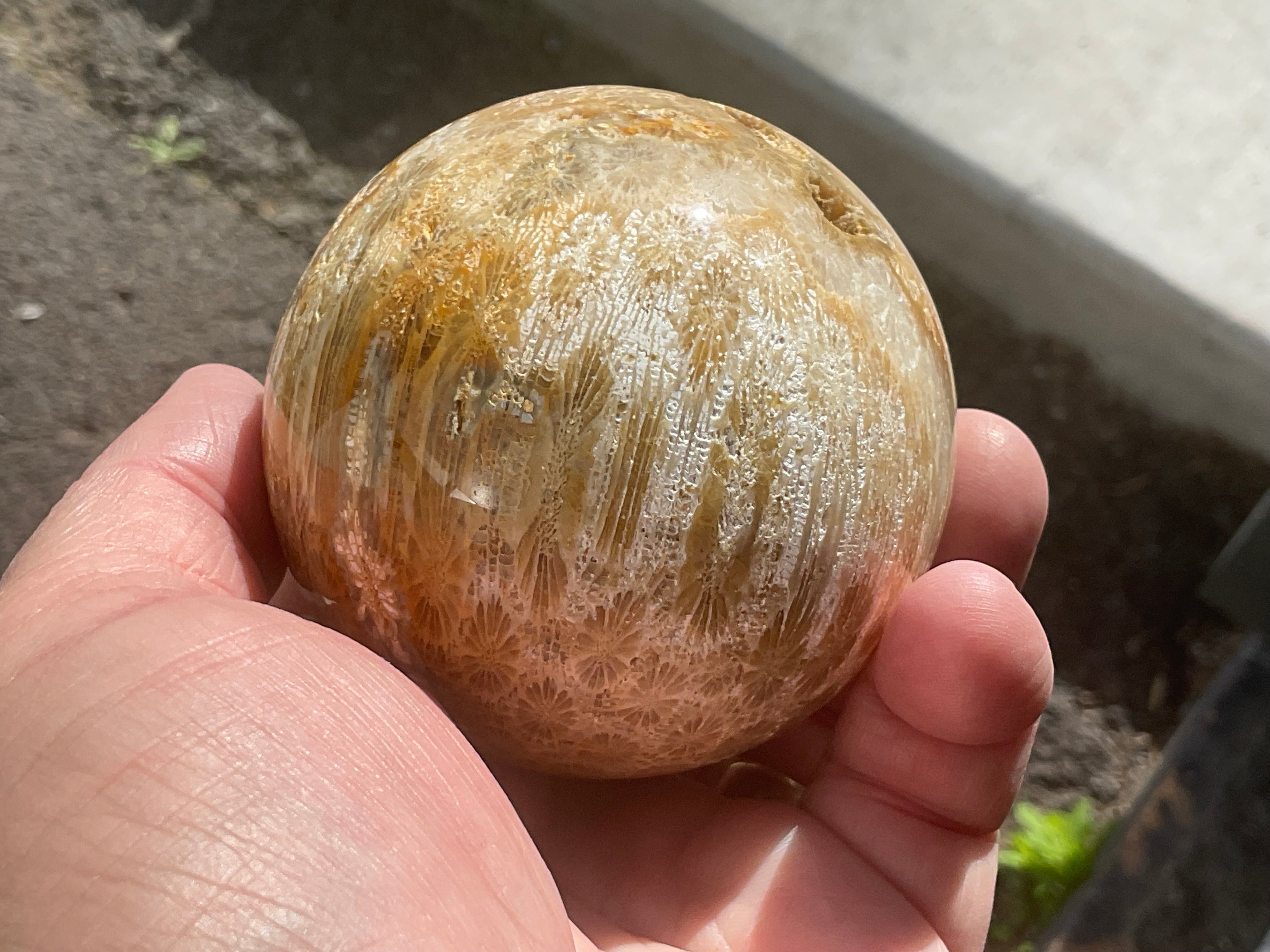 396g “Luna Coral” Sphere 3C