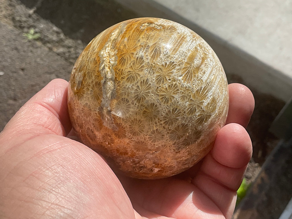 396g “Luna Coral” Sphere 3C
