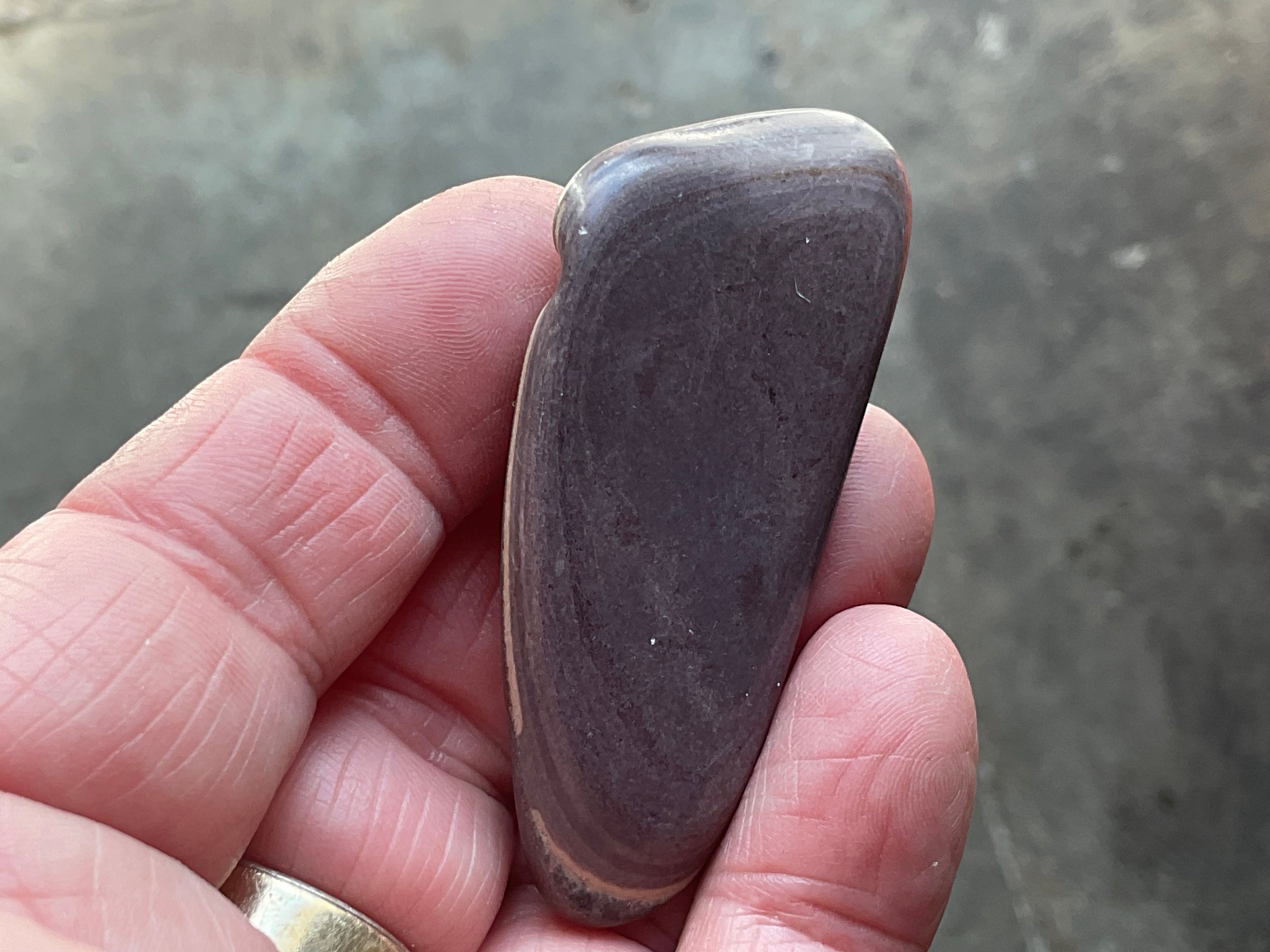 24g Australia Zebra Stone Tumble D