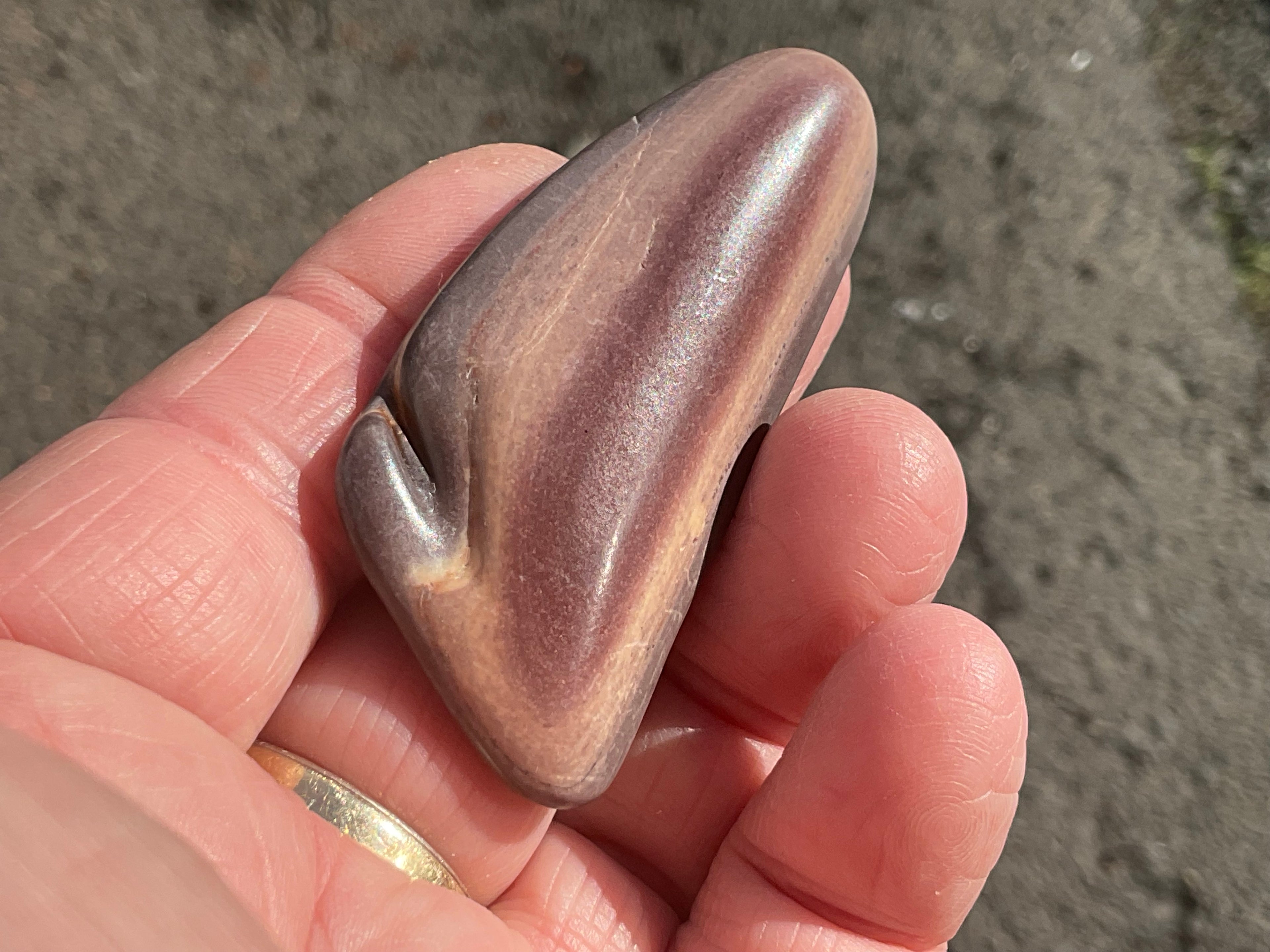 24g Australia Zebra Stone Tumble D