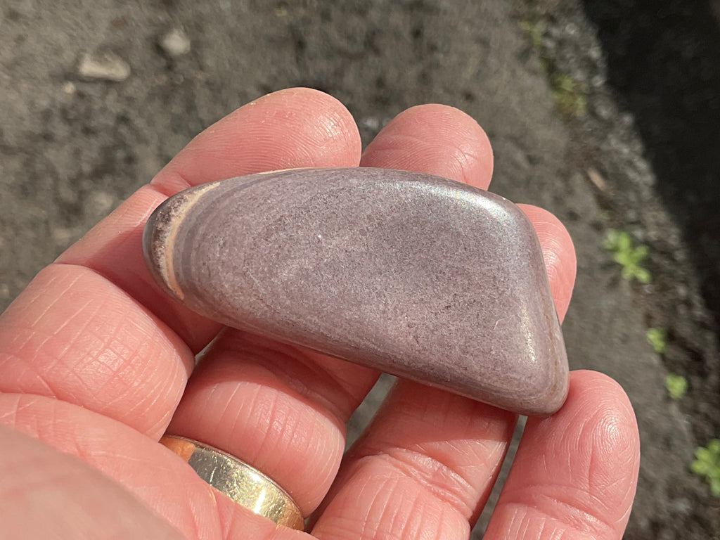 24g Australia Zebra Stone Tumble D