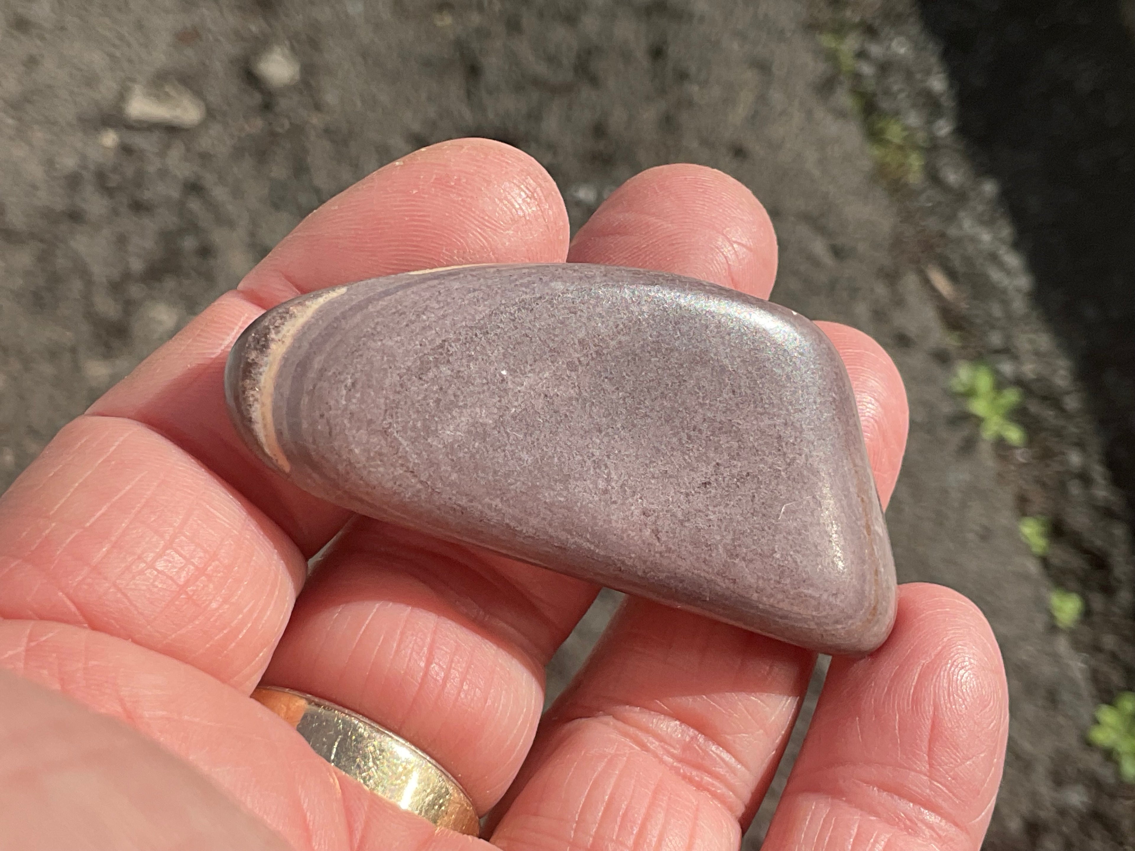24g Australia Zebra Stone Tumble D