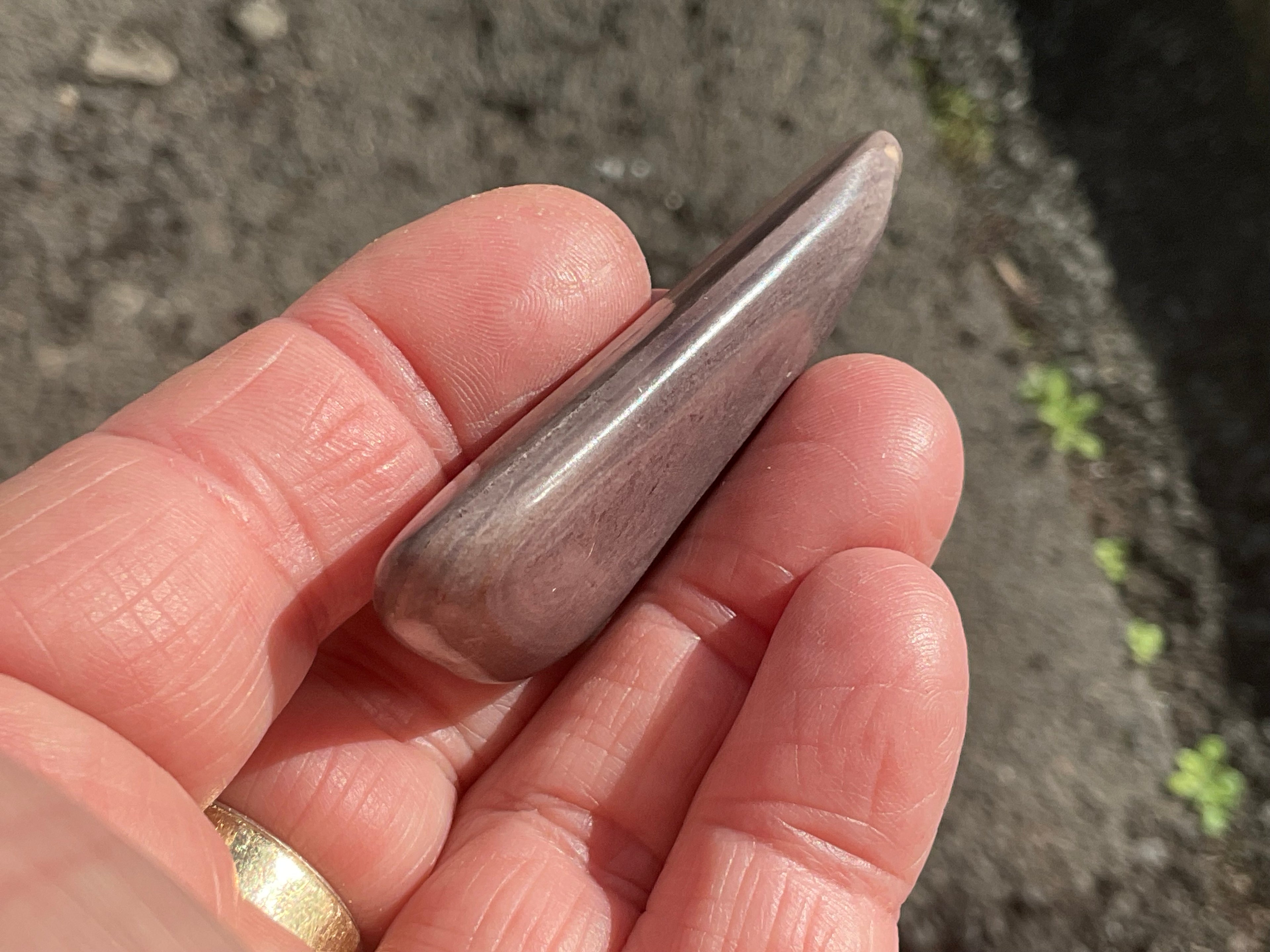24g Australia Zebra Stone Tumble D