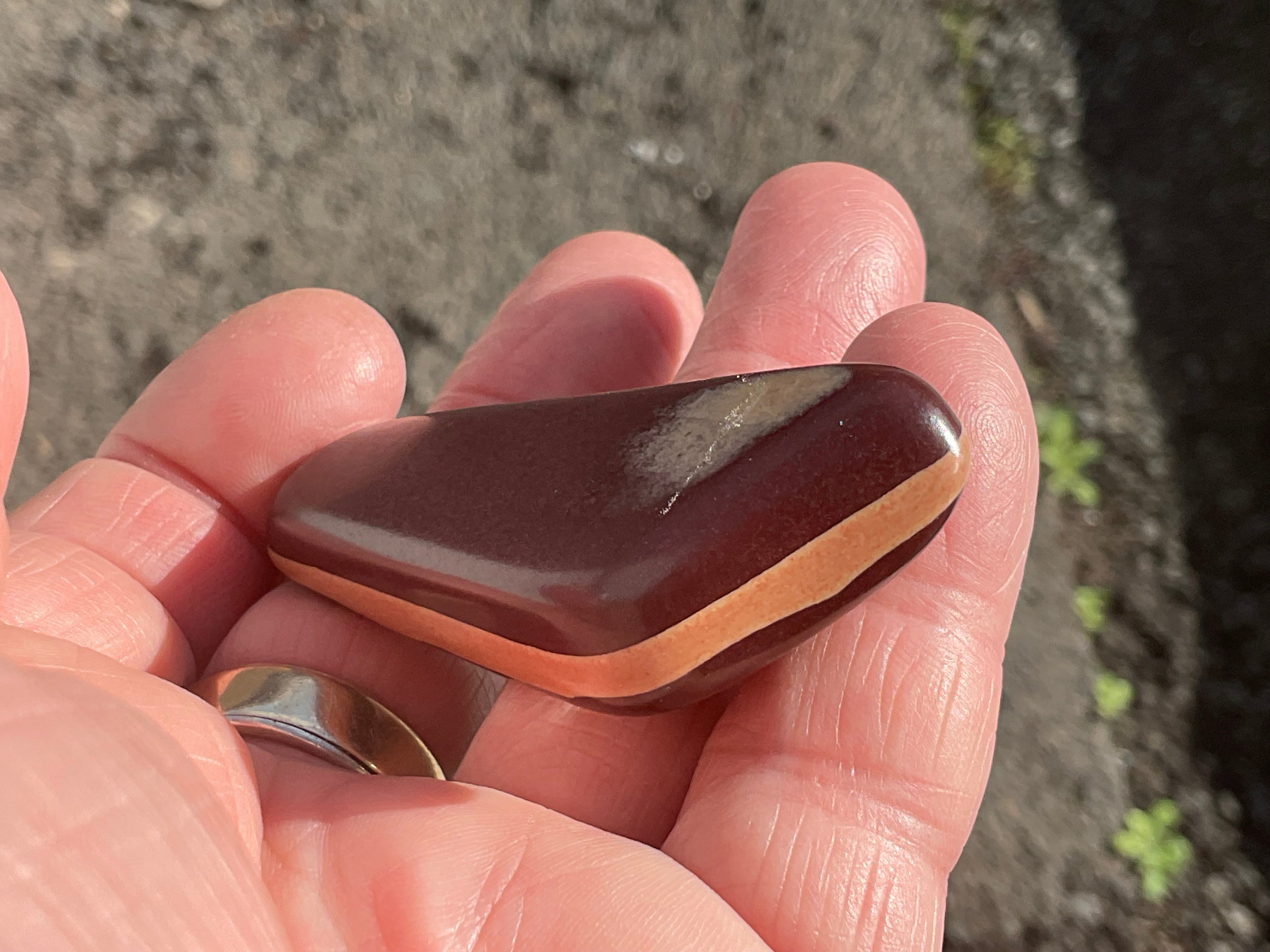 36g Australia Zebra Stone Tumble Stone E