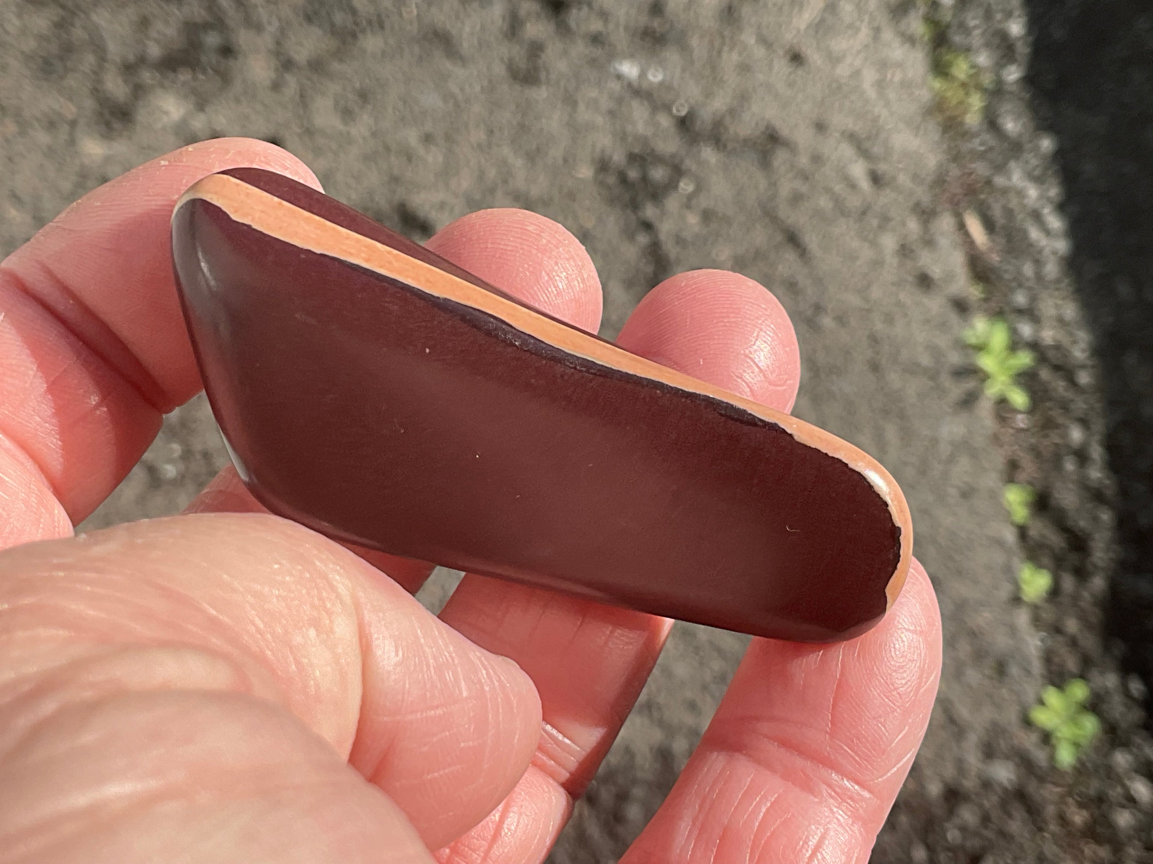 36g Australia Zebra Stone Tumble Stone E